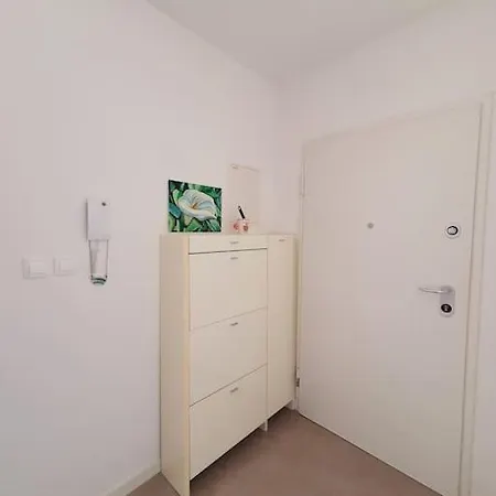 Felix * Rijeka